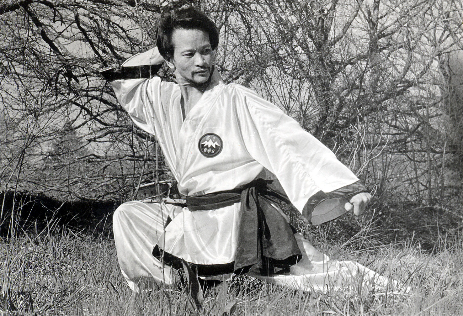 Maitre Hoang Nam - Ecole Hoang Nam