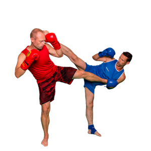 Sanda Cours Sanda Boxe Chinoise - Ecole Hoang Nam Antibes