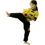 Kung Fu - Ecole Hoang Nam Antibes Kung Fu - Ecole Hoang Nam Antibes