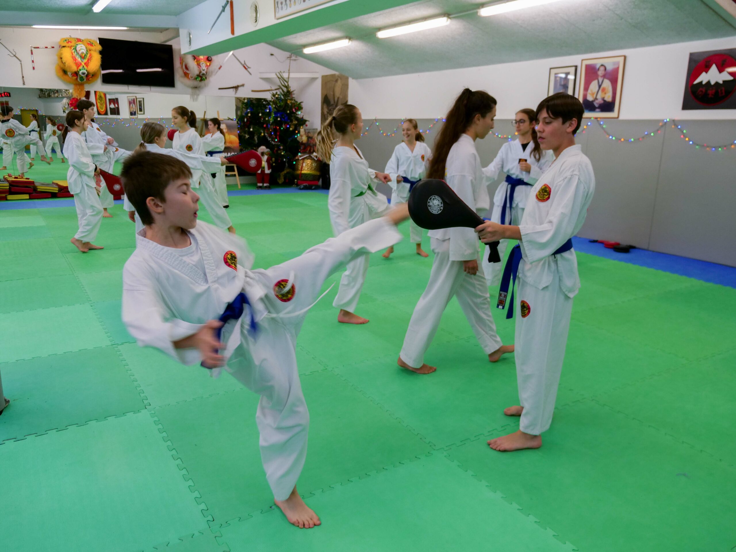 TKD CA 2.1